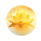 念诵合集